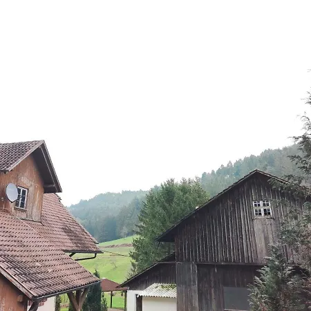 Geraeumige Wohnung Im Schwarzwald Seelbach  Esterno foto