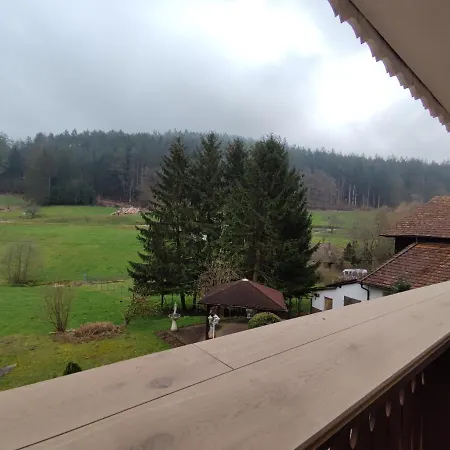 Geraeumige Wohnung Im Schwarzwald Seelbach  Esterno foto