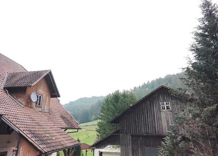 Geraeumige Wohnung Im Schwarzwald