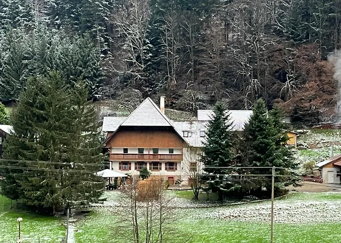 Geraeumige Wohnung Im Schwarzwald