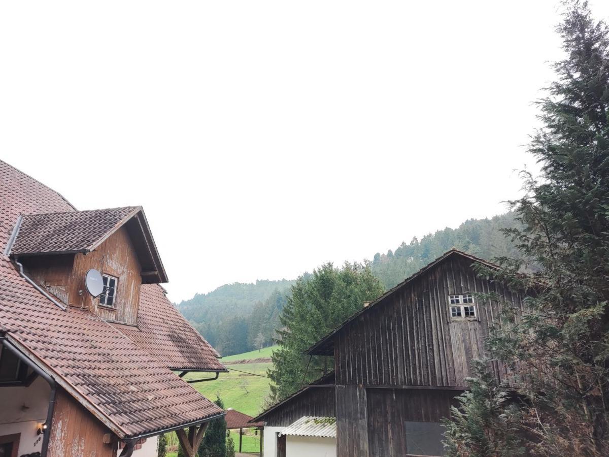 Geraeumige Im Schwarzwald Seelbach (Baden-Wurttemberg)