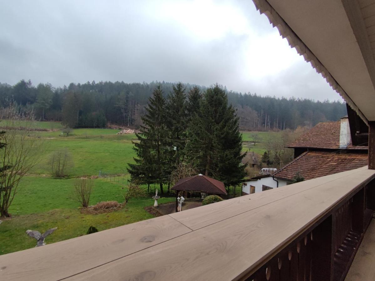 Appartement Geraeumige Im Schwarzwald Seelbach (Baden-Wurttemberg)