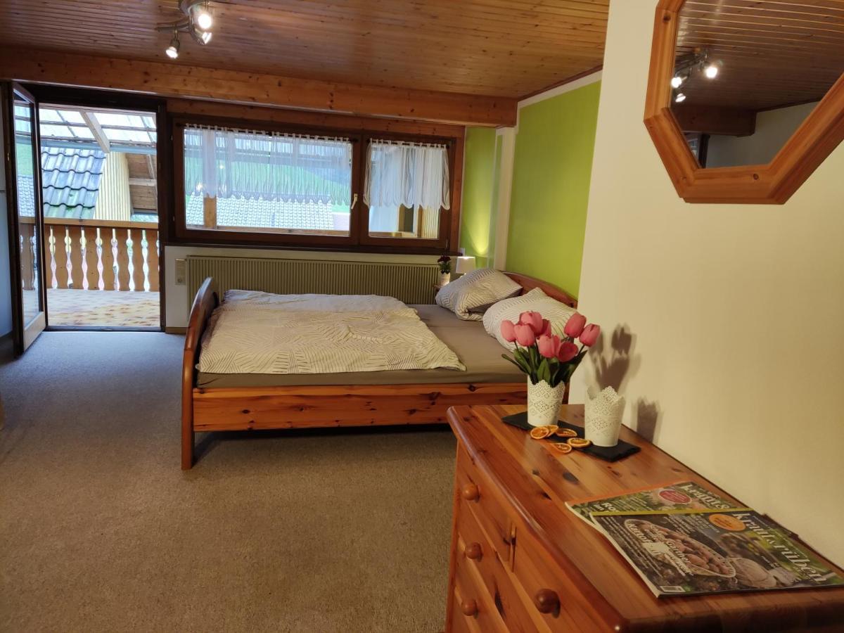 Appartement Geraeumige Im Schwarzwald