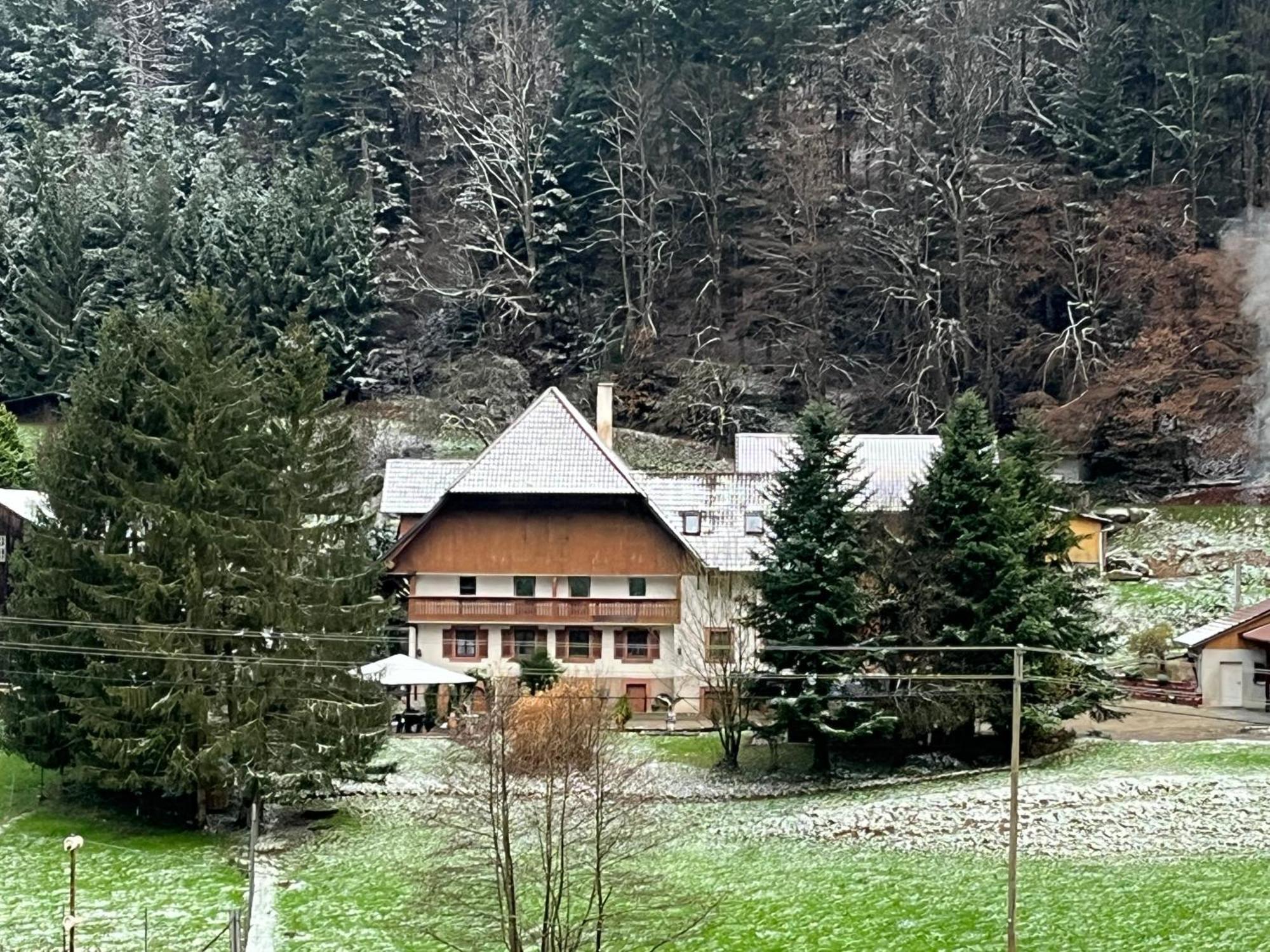 Appartement Geraeumige Im Schwarzwald